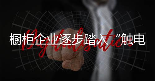 触电标准化程度相对较低