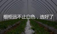橱柜远不止白色，选好了让厨房美出新高度