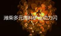 潍柴多元燃料矿山动力闪耀中国国际矿业展，四大关键词解码硬核实力！