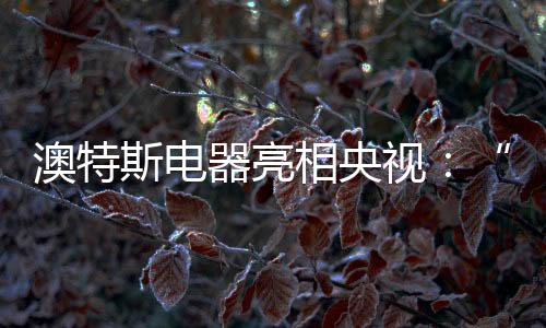 斯电视人神还是器亮生活
