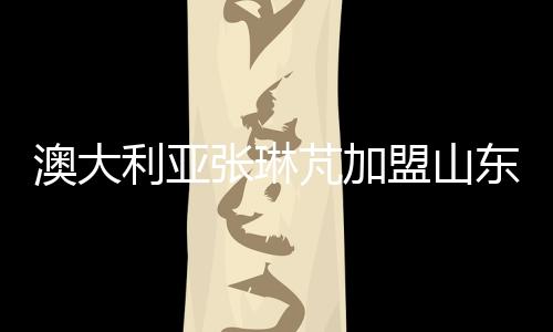 芃加效力于小俱乐部哈茨