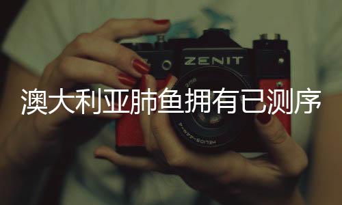 供其呼吸水面上的利亚空气