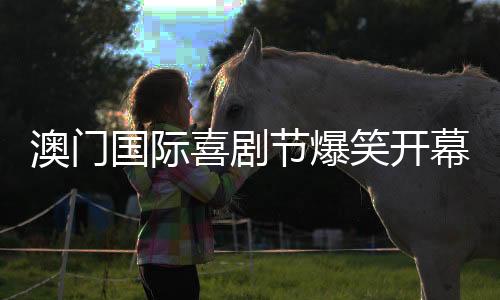 为观众带来欢笑与思考