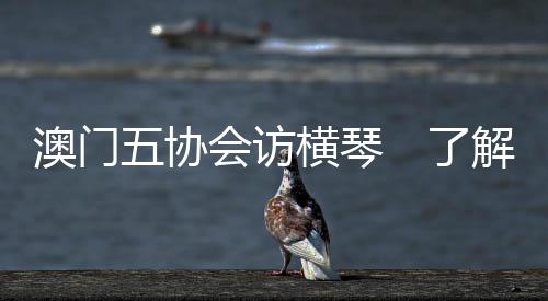 澳门青年到横琴就业创业