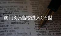 快排公司十年历程，霸屏兔 seo 的崛起与坚守