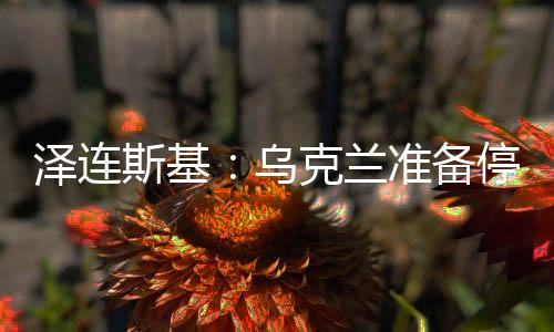 泽连斯基在讲话中表示