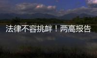 法律不容挑衅！两高报告点名辣笔小球、纸面服刑等