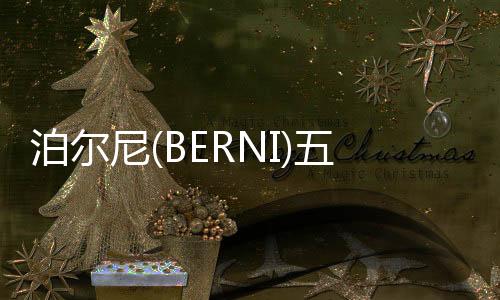 金凝唯有变革和创新