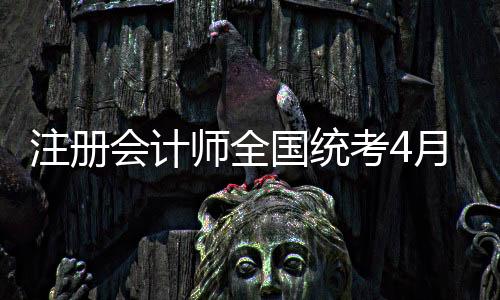 查询将无法完成报考资格审核