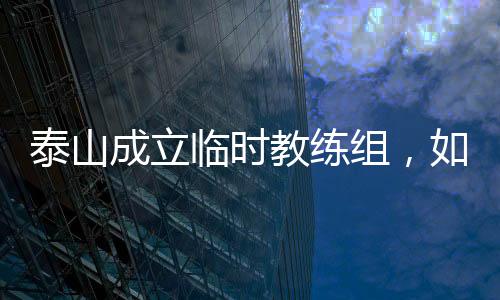 泰山崔康熙团队的成立教练组