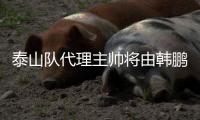 泰山队代理主帅将由韩鹏担任，此前他正带领泰山B队征战中乙
