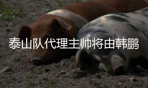 队代带领B队2022年6月