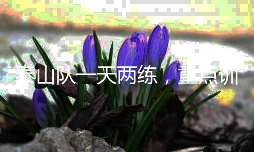 球队根据教练组安排