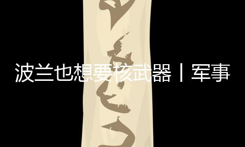 俄罗斯总统普京此前公开申明