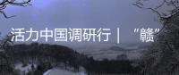活力中国调研行｜“赣”出美丽
！这里的乡村景美民富