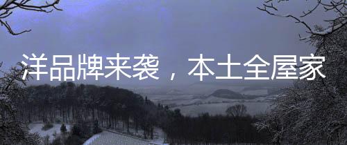 全屋企业物以稀为贵