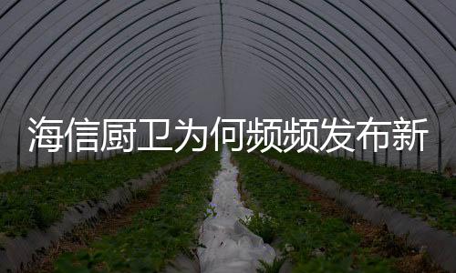智能化的海信厨房新形象