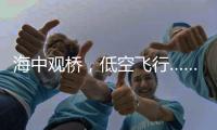 海中观桥，低空飞行……深中通道西人工岛将开放旅游！