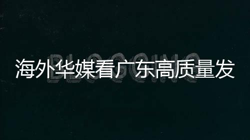 政策优势和人才优势