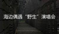 海边偶遇“野生”演唱会�！珠海的夜晚 总有意想不到的惊喜