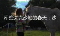 浑善达克沙地的春天
：沙窝子里孕生机，年年有不同