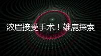 浓眉接受手术！雄鹿探索签换库明加，瓦兰首度发声，约基奇新决定