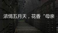 浓情五月天，花香“母亲节”！担杆镇海岛之家开展母亲节插花活动
