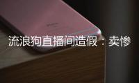 快排公司十年历程，霸屏兔 seo 的崛起与坚守