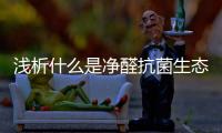快排公司十年历程，霸屏兔 seo 的崛起与坚守