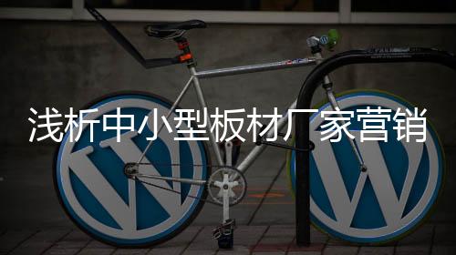 从而失去市场的浅析竞争优势