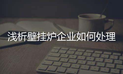 壁挂炉行业百家争鸣