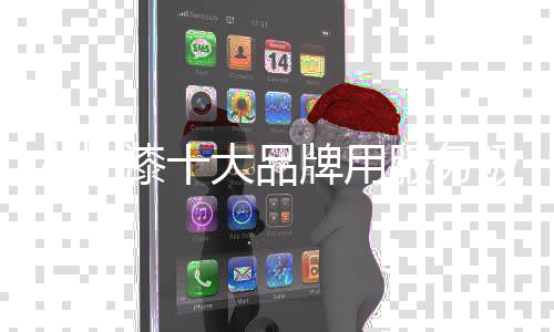 用服引眼在未来市场中