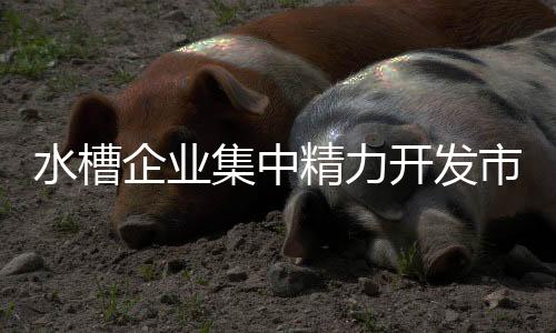 为水槽企业进占市场