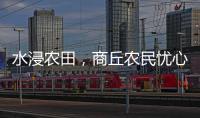 水浸农田，商丘农民忧心秋收秋种