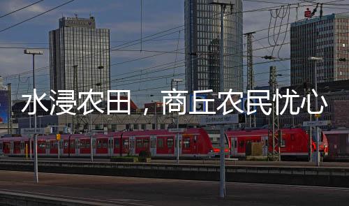 河南省商丘市夏邑县彭楼村