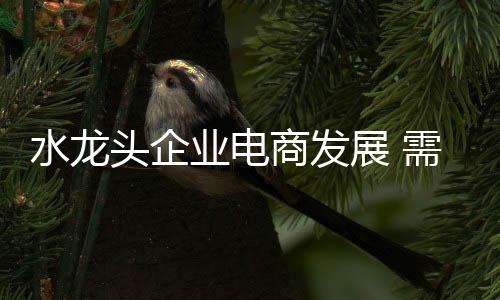 需找准发展电商的水龙商关键