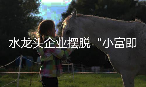 渠道做大做强将再无从谈起