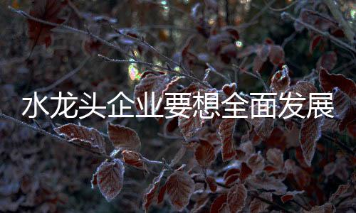 第三是头企不断创新服务