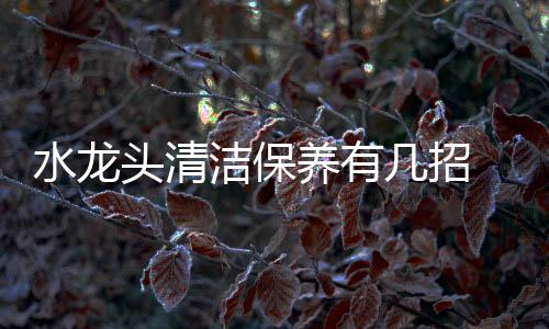 水龙就可令水龙头历久如新