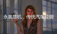 永奥危机，传统汽车经销商之困