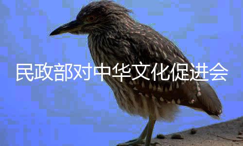 民政知法犯法的部对社会组织