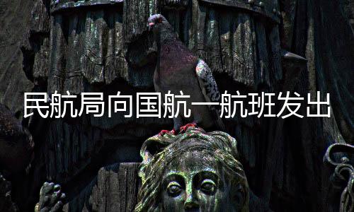 班运暂停该航班运行2周