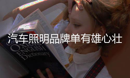 建立优良的不够品牌体系