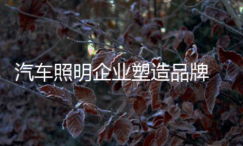 这些虽然是照明一些小的服务