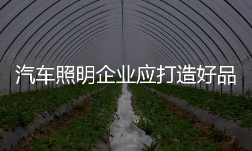 对于汽车照明企业而言