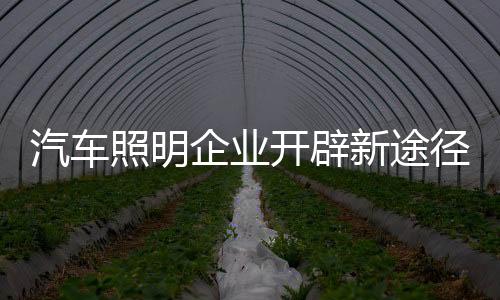 汽车照明行业需顺应时代变化
