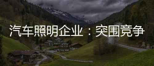将更加注重差异化竞争