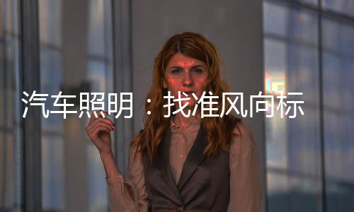 汽车照明行业在发展过程中