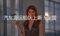 快排公司十年历程，霸屏兔 seo 的崛起与坚守