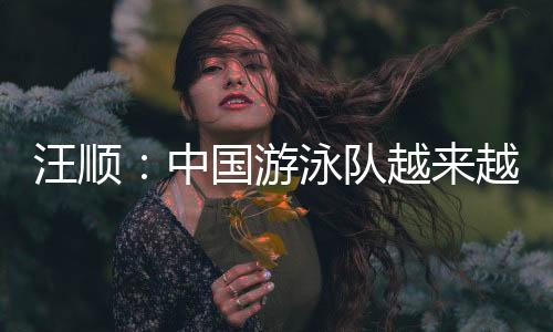 汪顺在这个基础上面更加细化